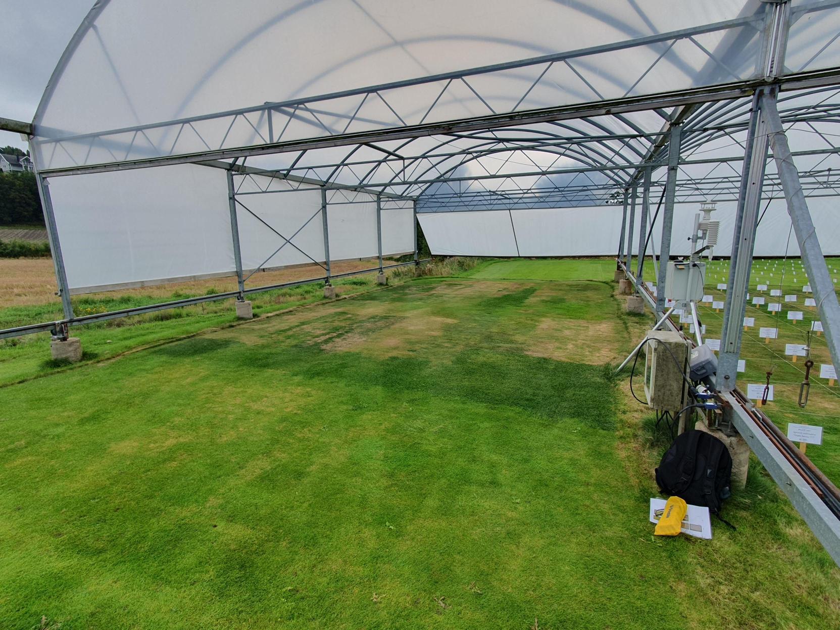 Research comes to the rescue of drought-stressed golf fairways